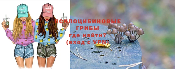 сатива Богородск
