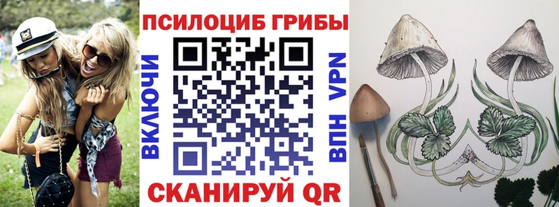 Псилоцибиновые грибы мухоморы  Шимановск 